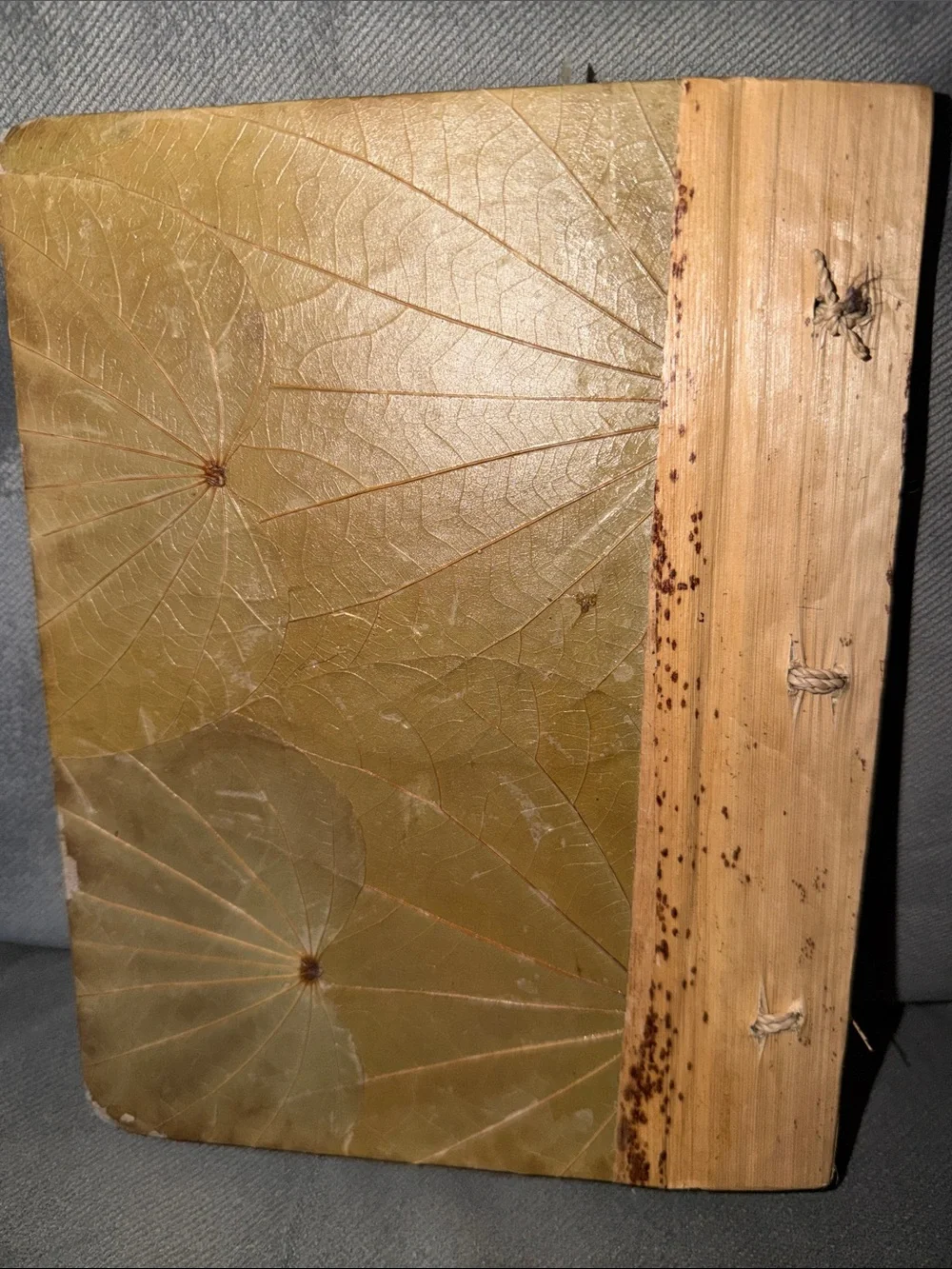 Blank Handmade Green Leaf Wall Journal Cover with Natural Accents - Bahamas